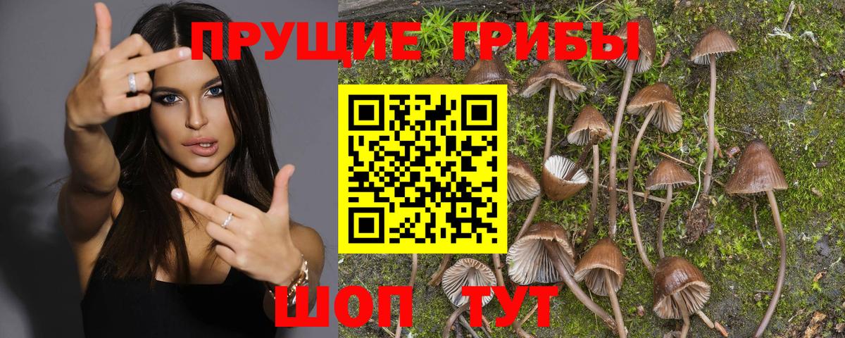 Галлюциногенные грибы GOLDEN TEACHER Полевской